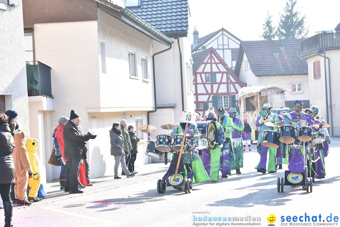 Fasnachtsumzug: Berlingen - Schweiz, 24.02.2018