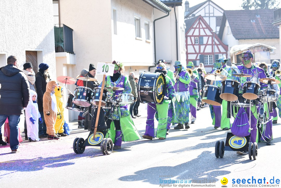 Fasnachtsumzug: Berlingen - Schweiz, 24.02.2018