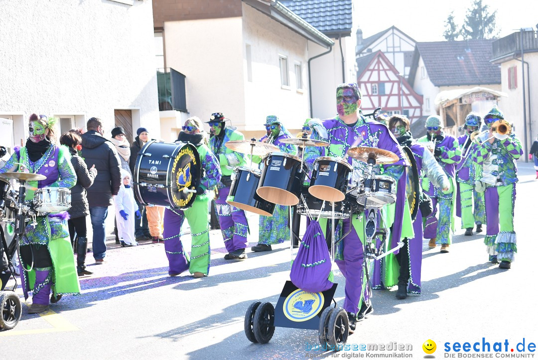 Fasnachtsumzug: Berlingen - Schweiz, 24.02.2018