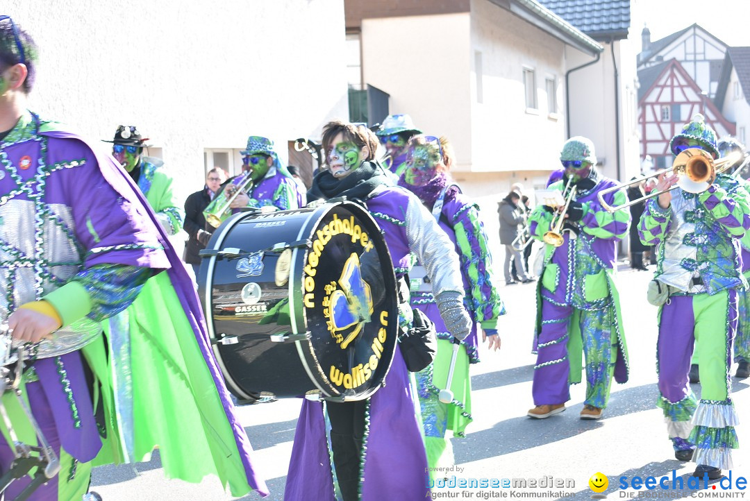 Fasnachtsumzug: Berlingen - Schweiz, 24.02.2018