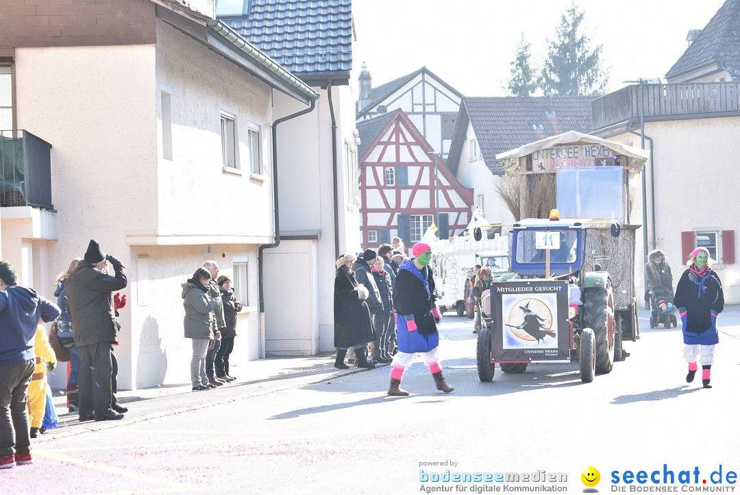 Fasnachtsumzug: Berlingen - Schweiz, 24.02.2018