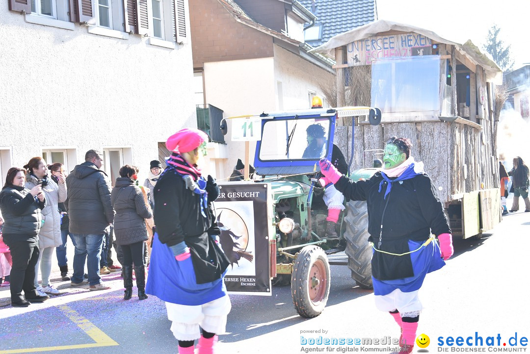 Fasnachtsumzug: Berlingen - Schweiz, 24.02.2018