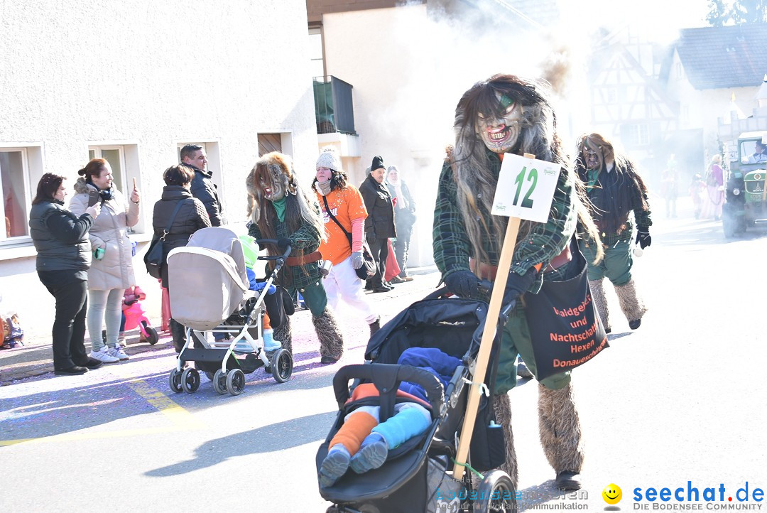 Fasnachtsumzug: Berlingen - Schweiz, 24.02.2018