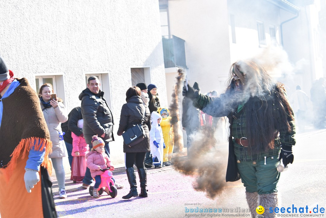 Fasnachtsumzug: Berlingen - Schweiz, 24.02.2018