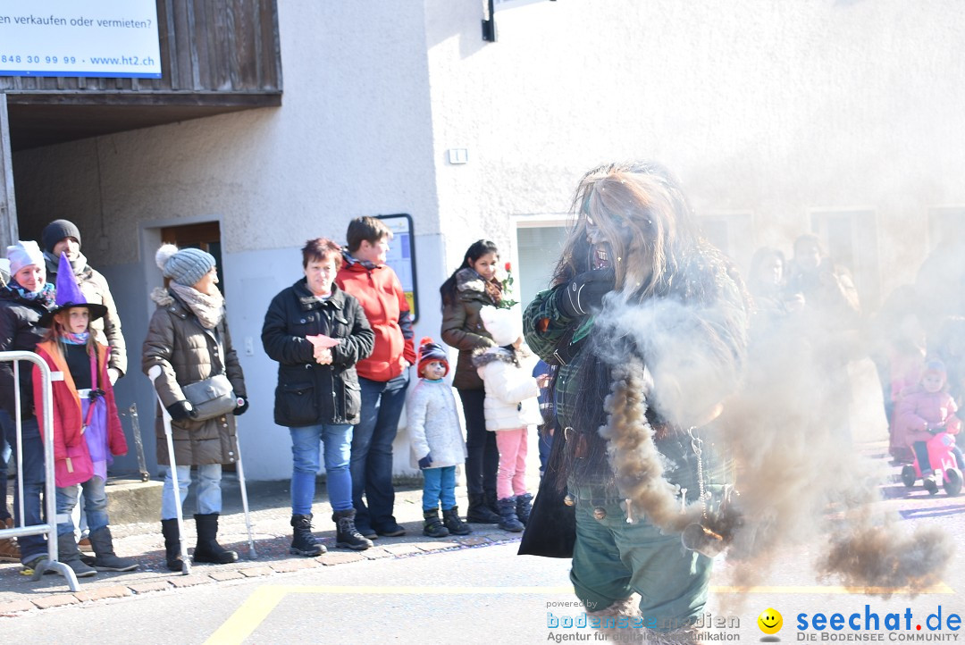 Fasnachtsumzug: Berlingen - Schweiz, 24.02.2018