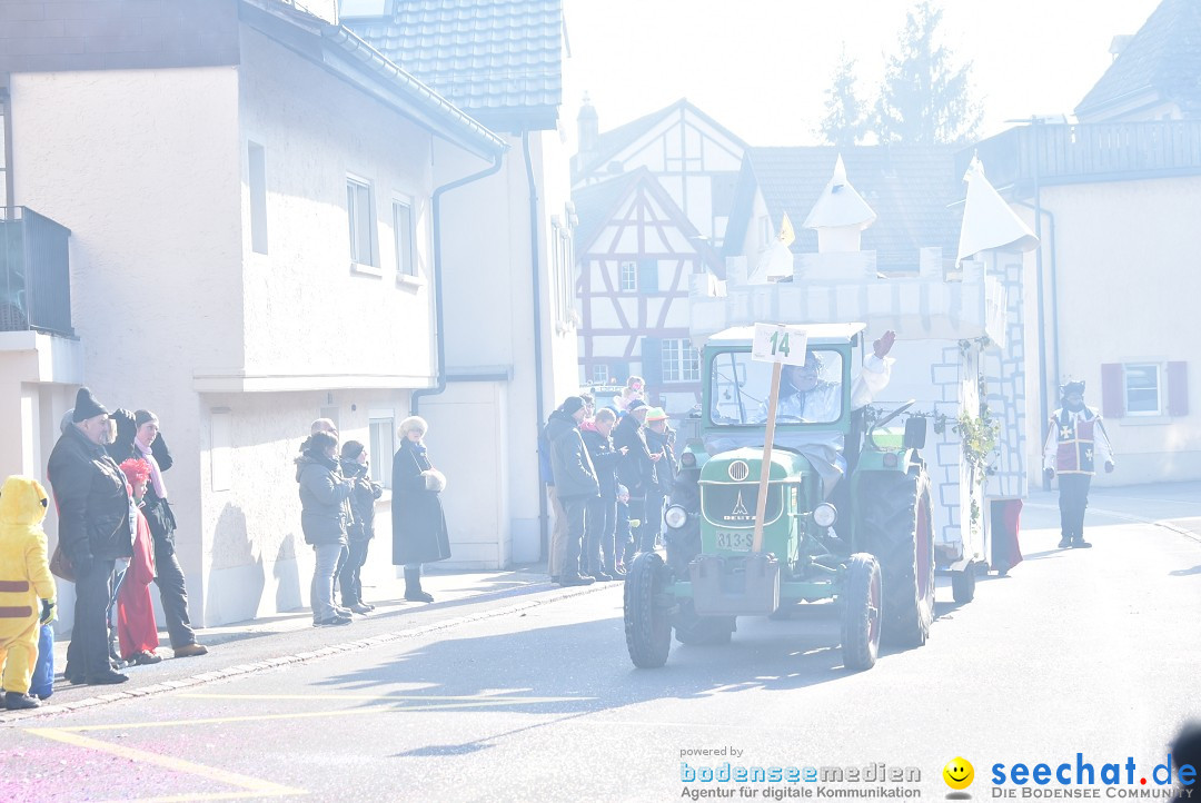 Fasnachtsumzug: Berlingen - Schweiz, 24.02.2018