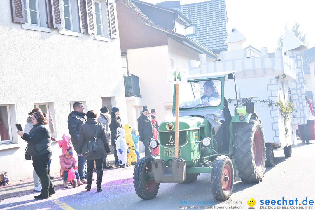 Fasnachtsumzug: Berlingen - Schweiz, 24.02.2018