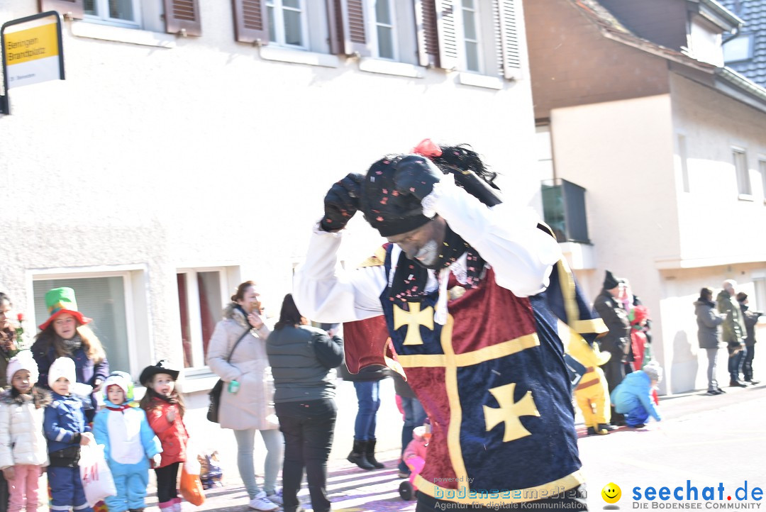 Fasnachtsumzug: Berlingen - Schweiz, 24.02.2018