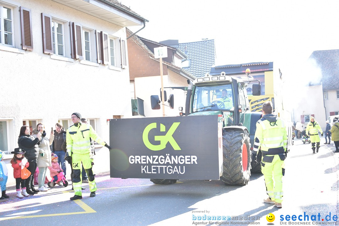 Fasnachtsumzug: Berlingen - Schweiz, 24.02.2018