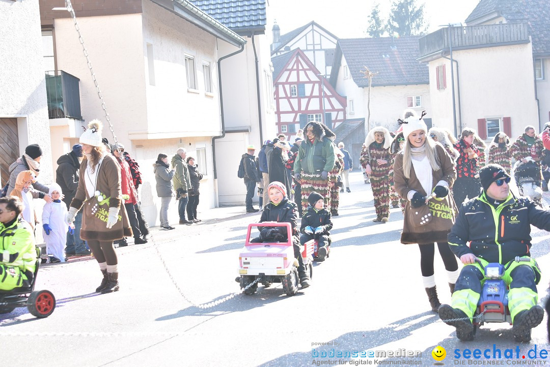 Fasnachtsumzug: Berlingen - Schweiz, 24.02.2018