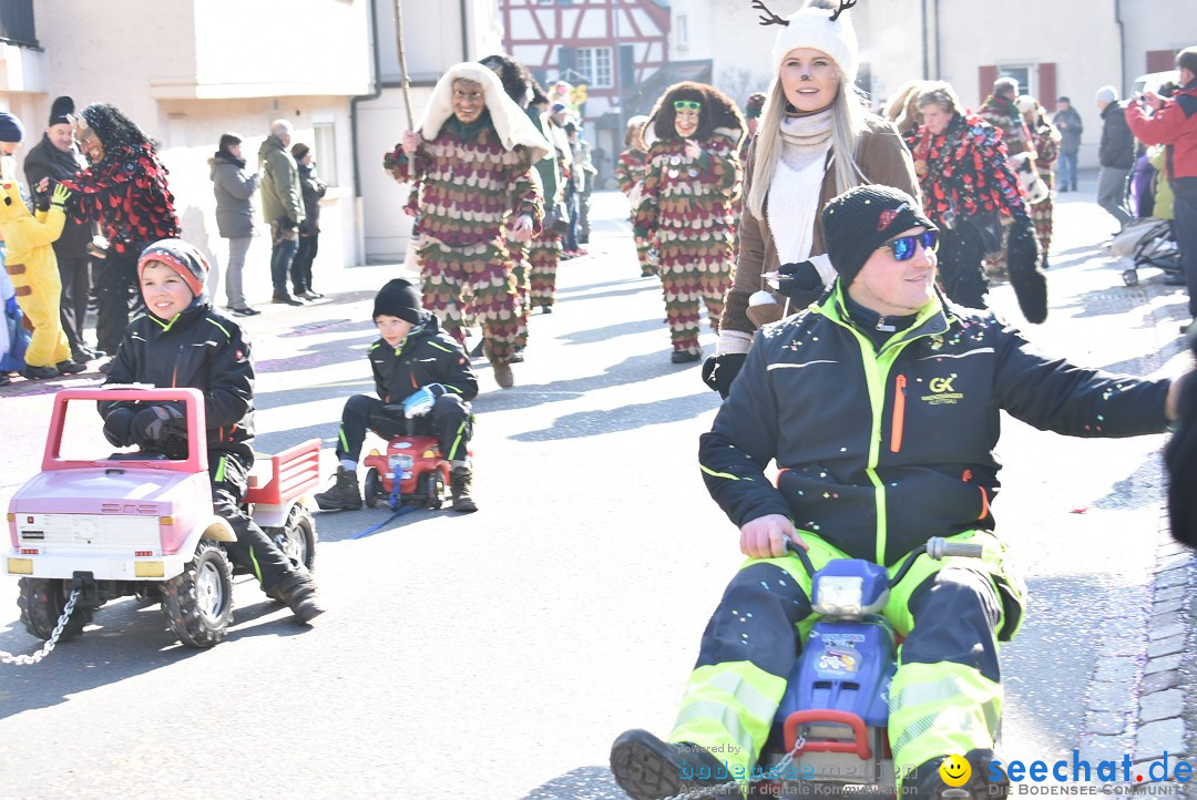 Fasnachtsumzug: Berlingen - Schweiz, 24.02.2018