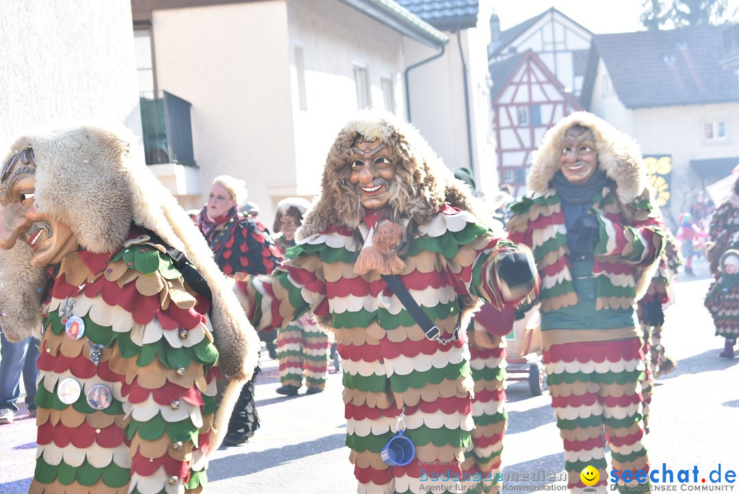 Fasnachtsumzug: Berlingen - Schweiz, 24.02.2018