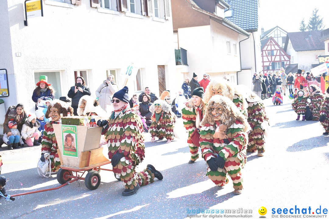 Fasnachtsumzug: Berlingen - Schweiz, 24.02.2018