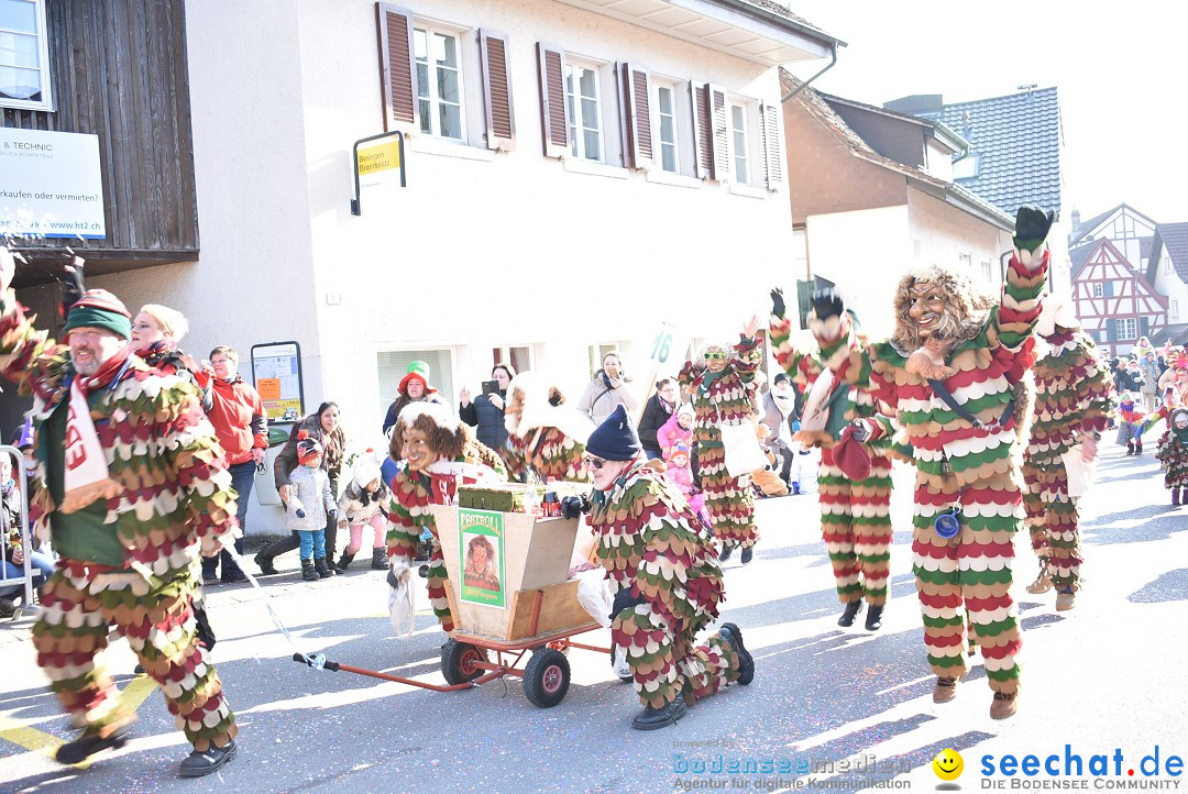 Fasnachtsumzug: Berlingen - Schweiz, 24.02.2018