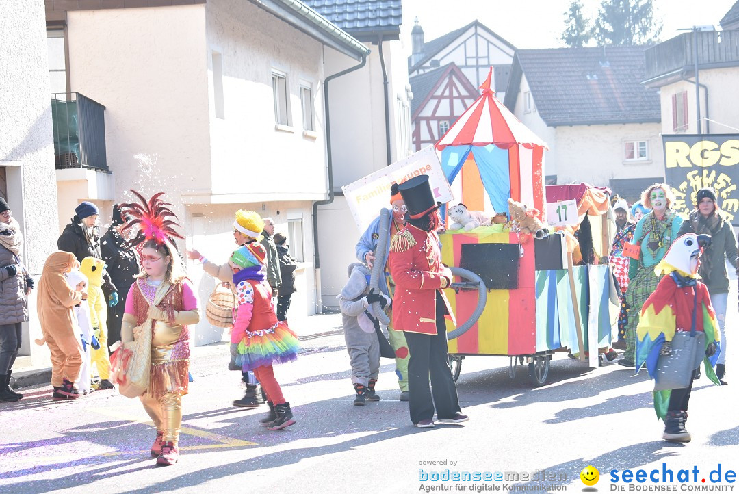 Fasnachtsumzug: Berlingen - Schweiz, 24.02.2018