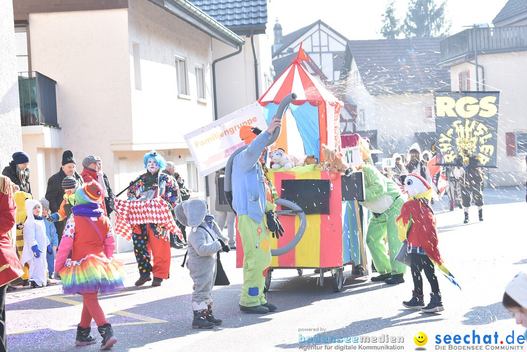 Fasnachtsumzug: Berlingen - Schweiz, 24.02.2018