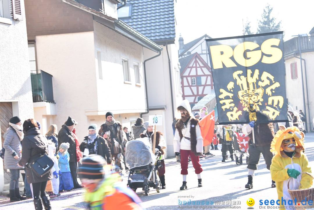 Fasnachtsumzug: Berlingen - Schweiz, 24.02.2018