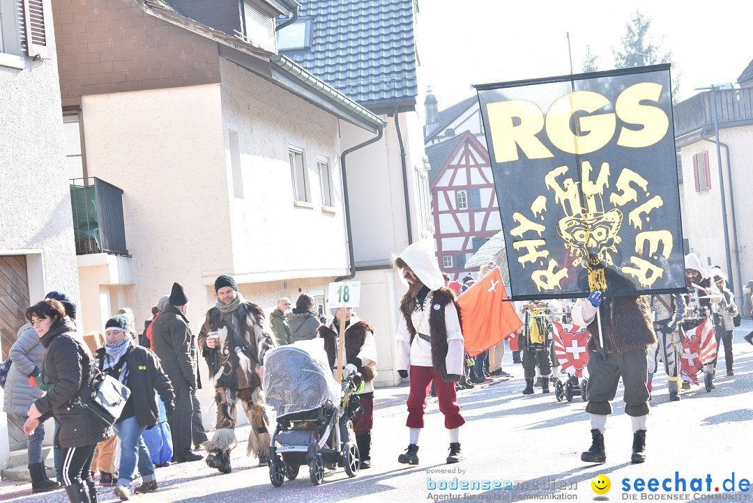 Fasnachtsumzug: Berlingen - Schweiz, 24.02.2018