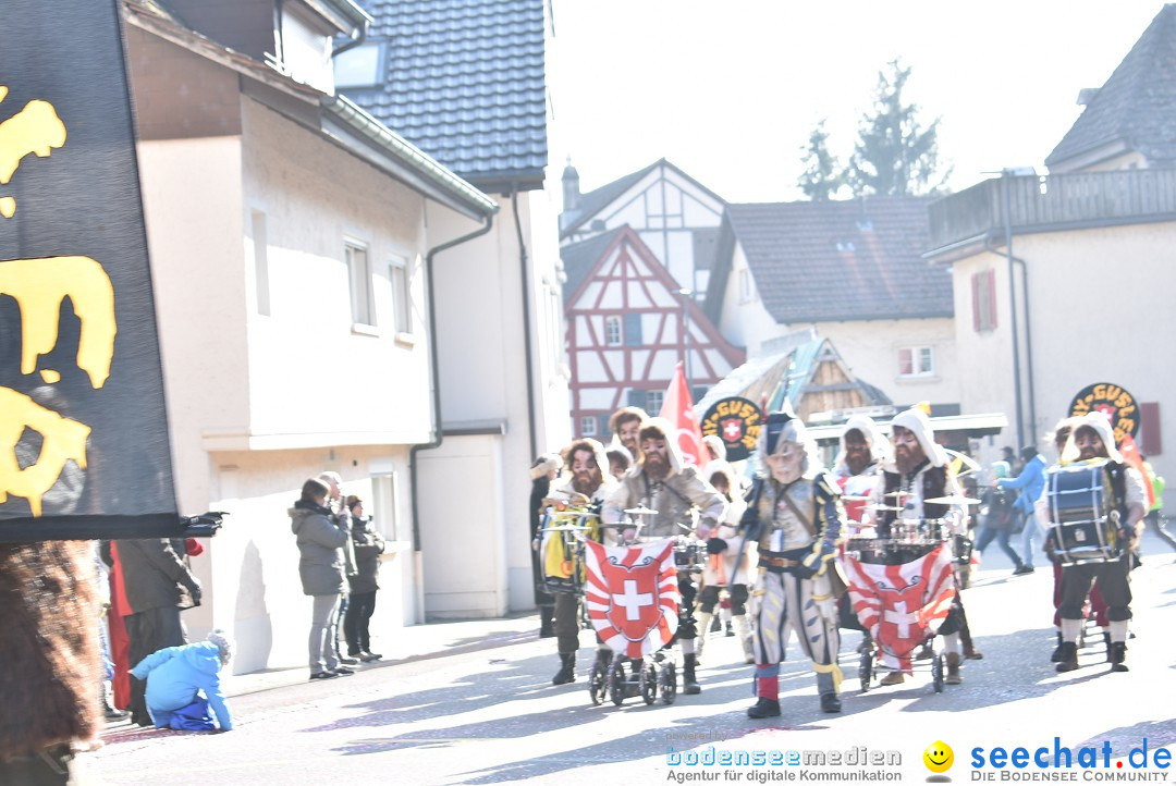 Fasnachtsumzug: Berlingen - Schweiz, 24.02.2018