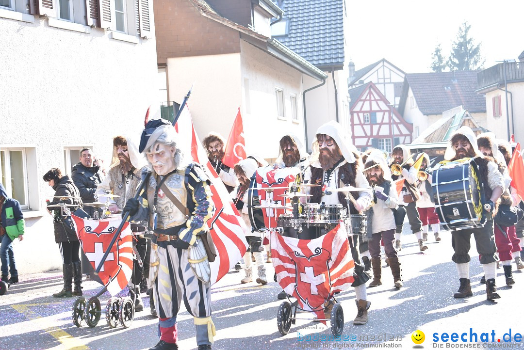 Fasnachtsumzug: Berlingen - Schweiz, 24.02.2018