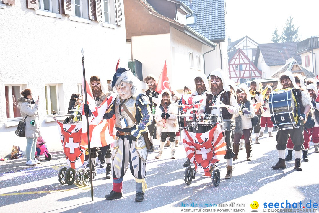 Fasnachtsumzug: Berlingen - Schweiz, 24.02.2018