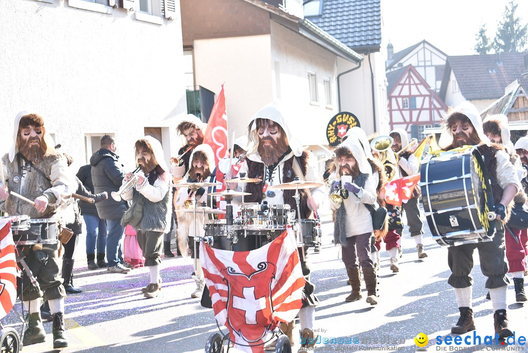 Fasnachtsumzug: Berlingen - Schweiz, 24.02.2018