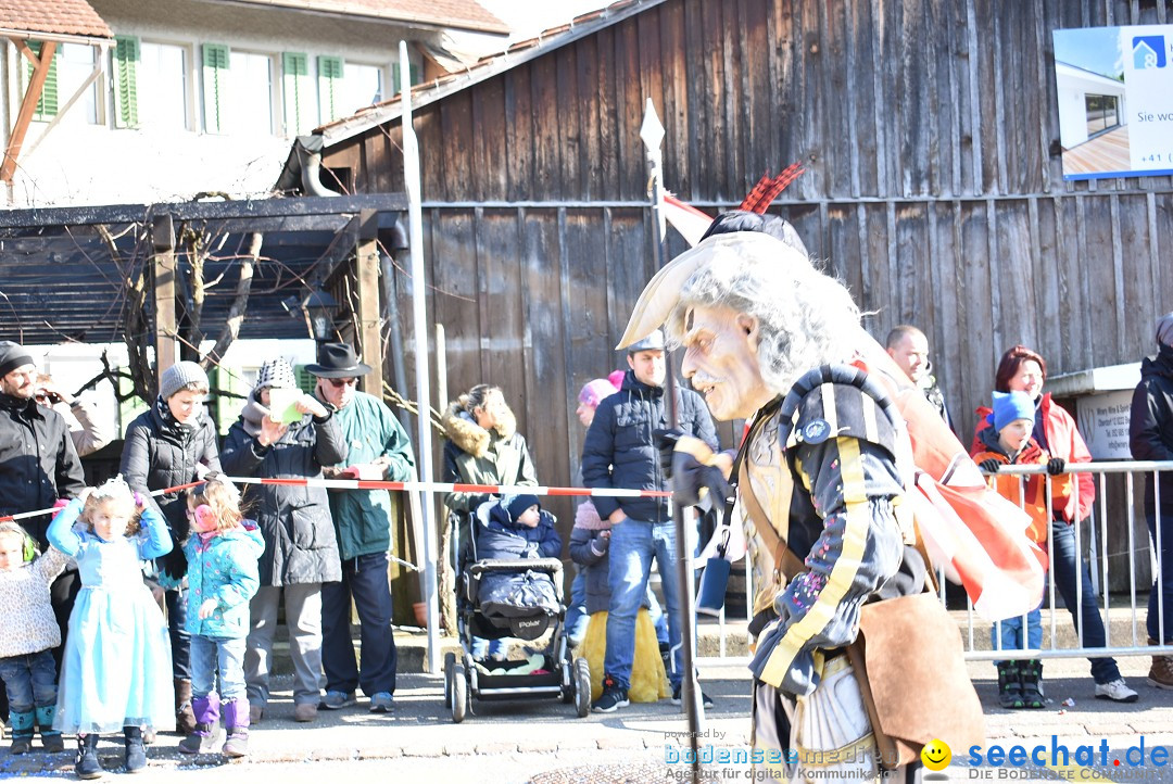 Fasnachtsumzug: Berlingen - Schweiz, 24.02.2018