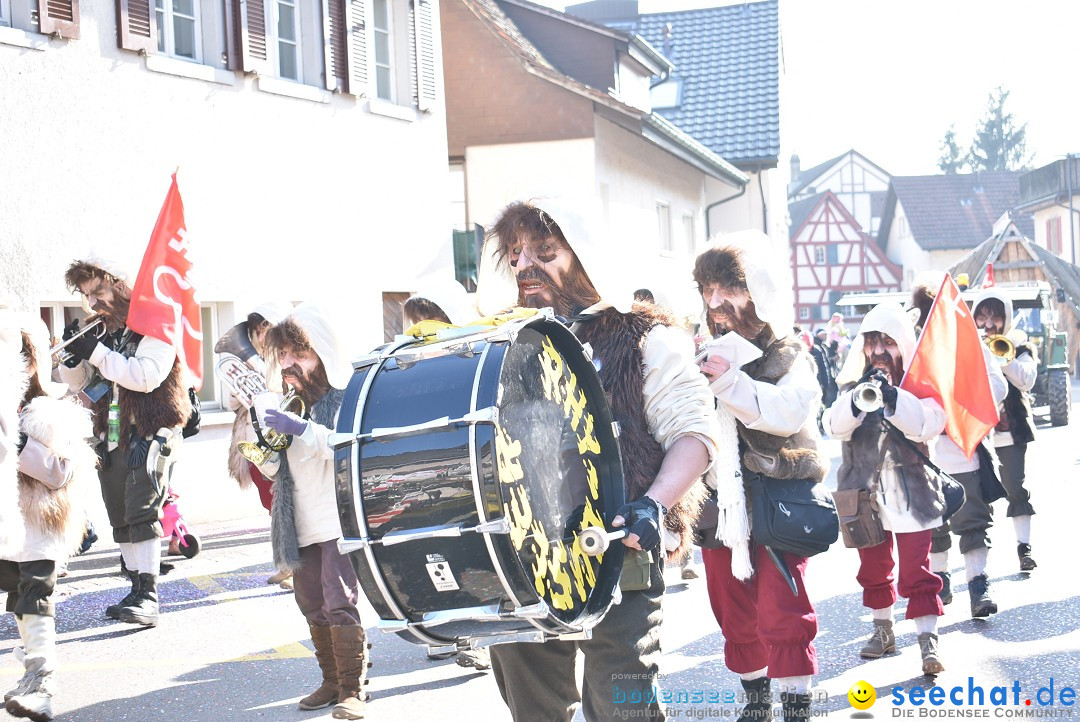 Fasnachtsumzug: Berlingen - Schweiz, 24.02.2018