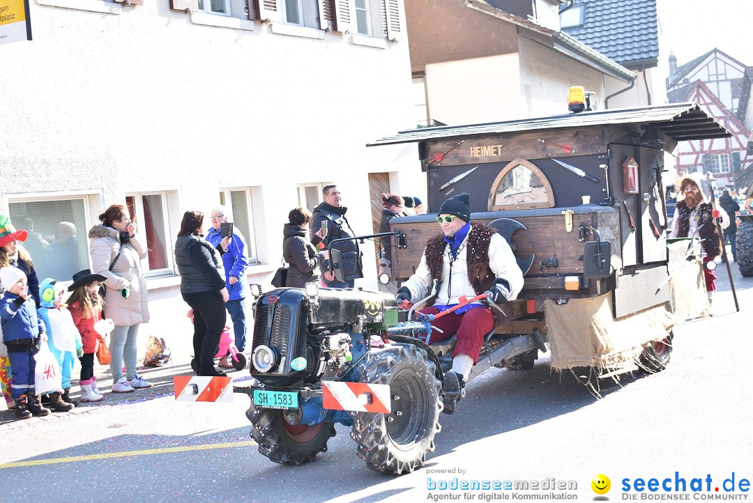 Fasnachtsumzug: Berlingen - Schweiz, 24.02.2018