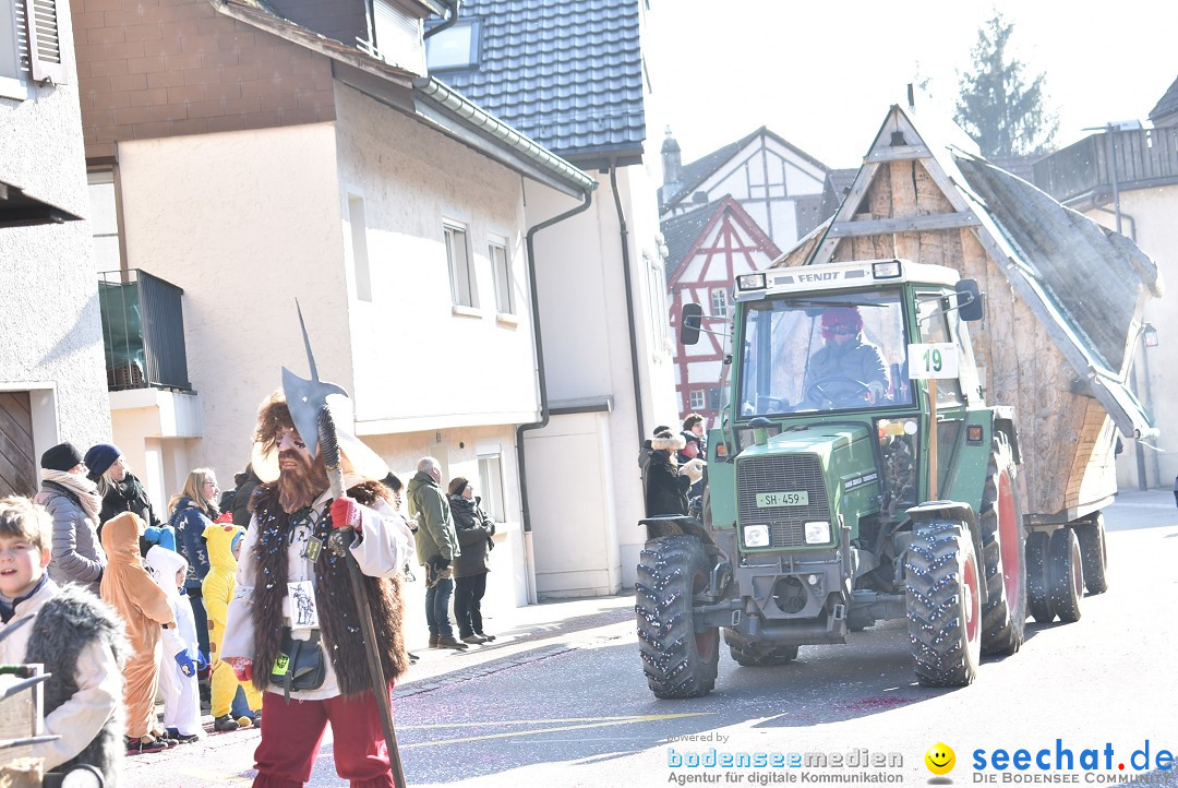 Fasnachtsumzug: Berlingen - Schweiz, 24.02.2018