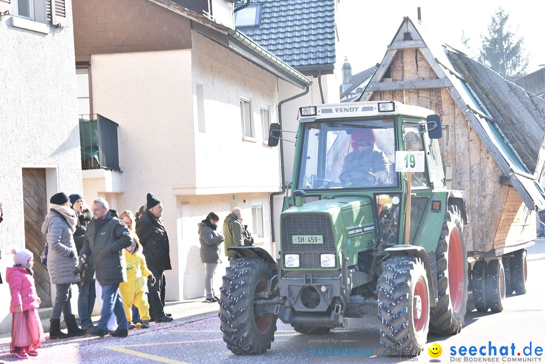 Fasnachtsumzug: Berlingen - Schweiz, 24.02.2018