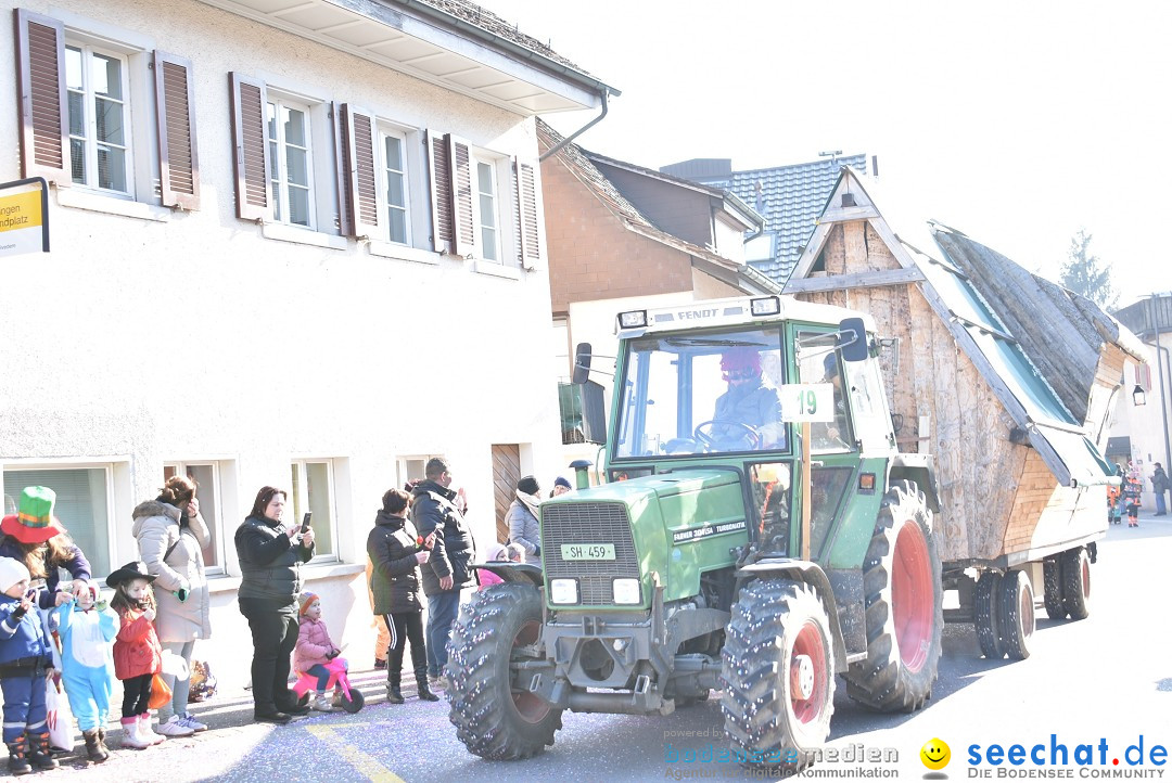 Fasnachtsumzug: Berlingen - Schweiz, 24.02.2018