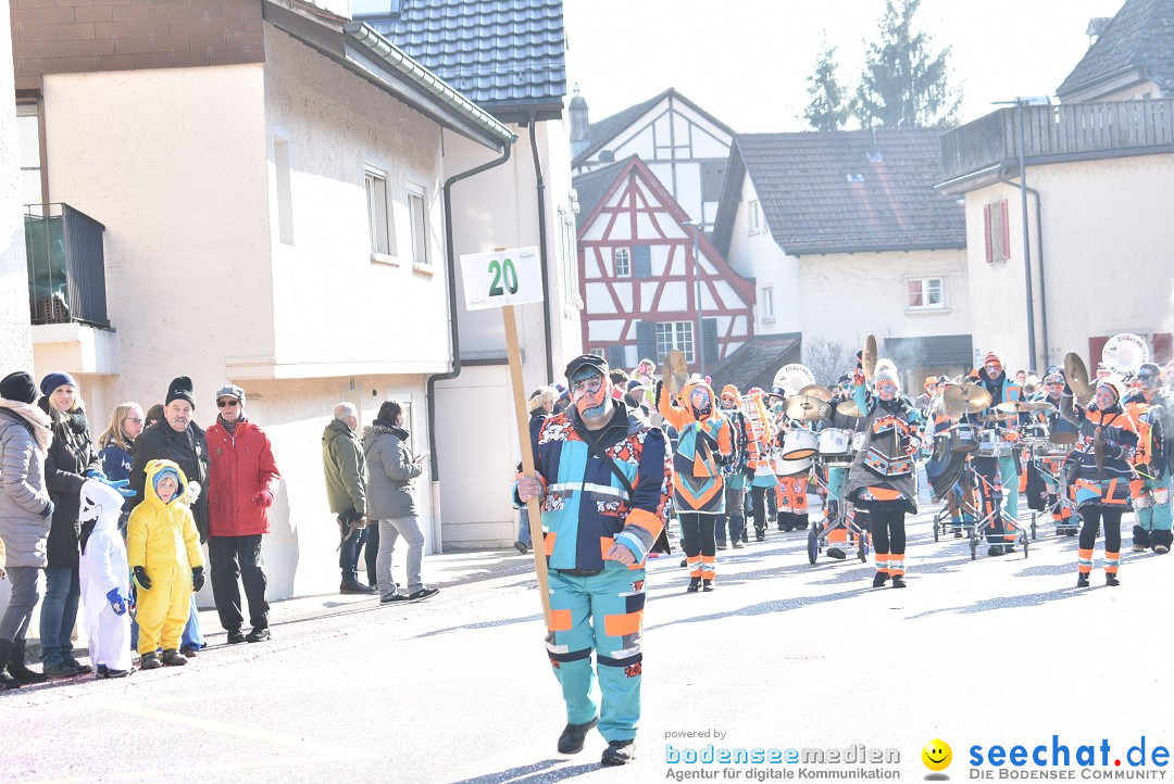 Fasnachtsumzug: Berlingen - Schweiz, 24.02.2018