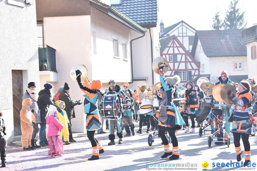 Fasnachtsumzug: Berlingen - Schweiz, 24.02.2018