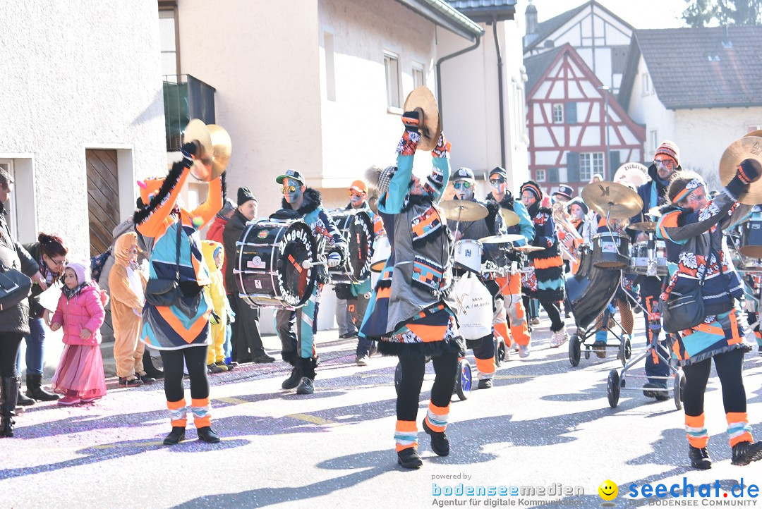 Fasnachtsumzug: Berlingen - Schweiz, 24.02.2018