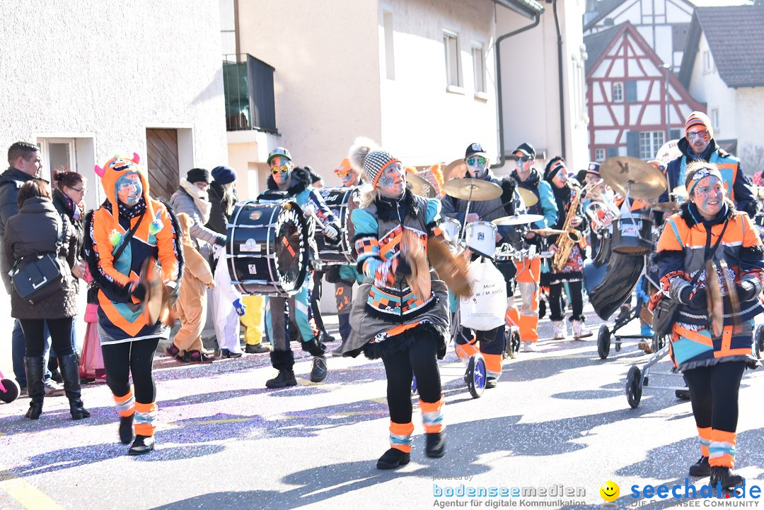 Fasnachtsumzug: Berlingen - Schweiz, 24.02.2018