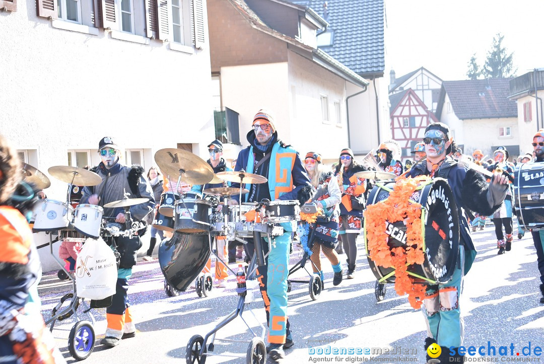 Fasnachtsumzug: Berlingen - Schweiz, 24.02.2018