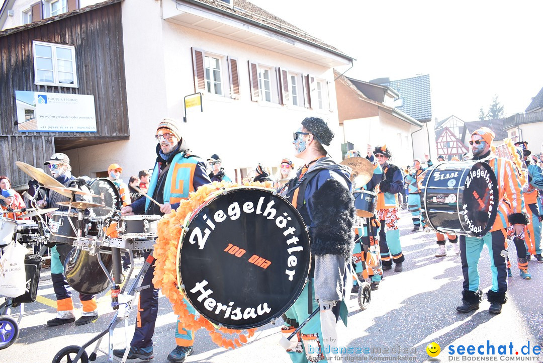 Fasnachtsumzug: Berlingen - Schweiz, 24.02.2018