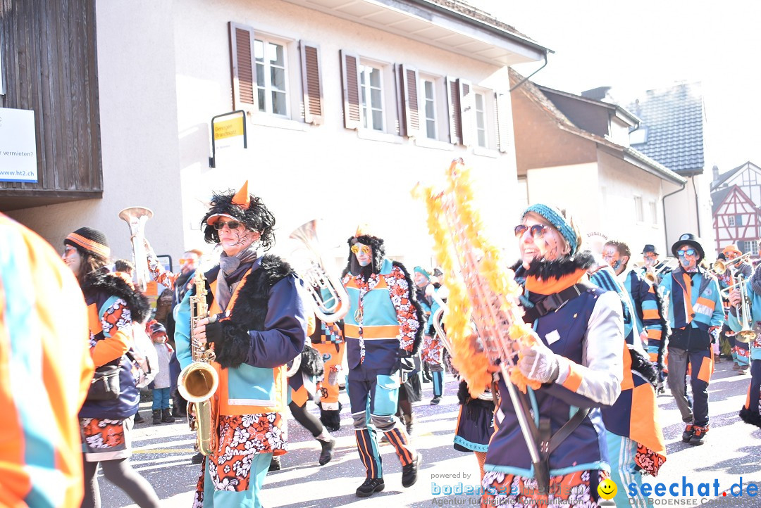 Fasnachtsumzug: Berlingen - Schweiz, 24.02.2018