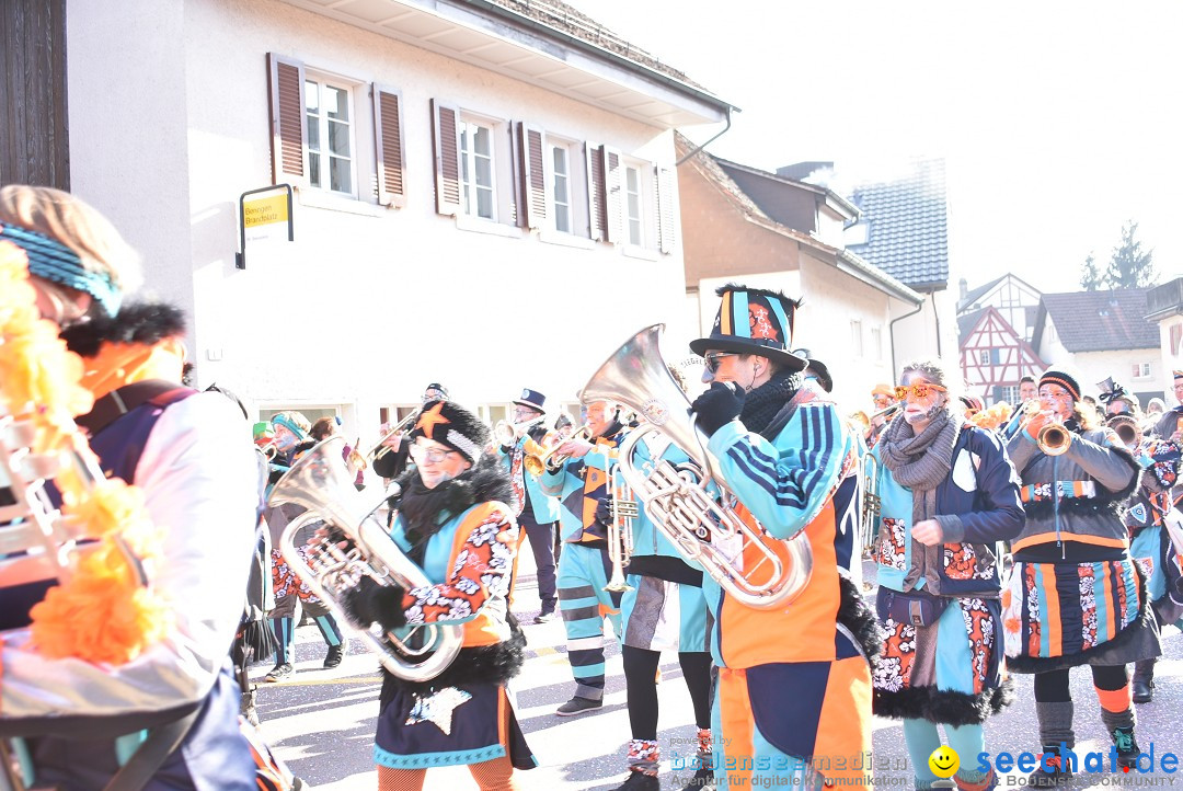 Fasnachtsumzug: Berlingen - Schweiz, 24.02.2018