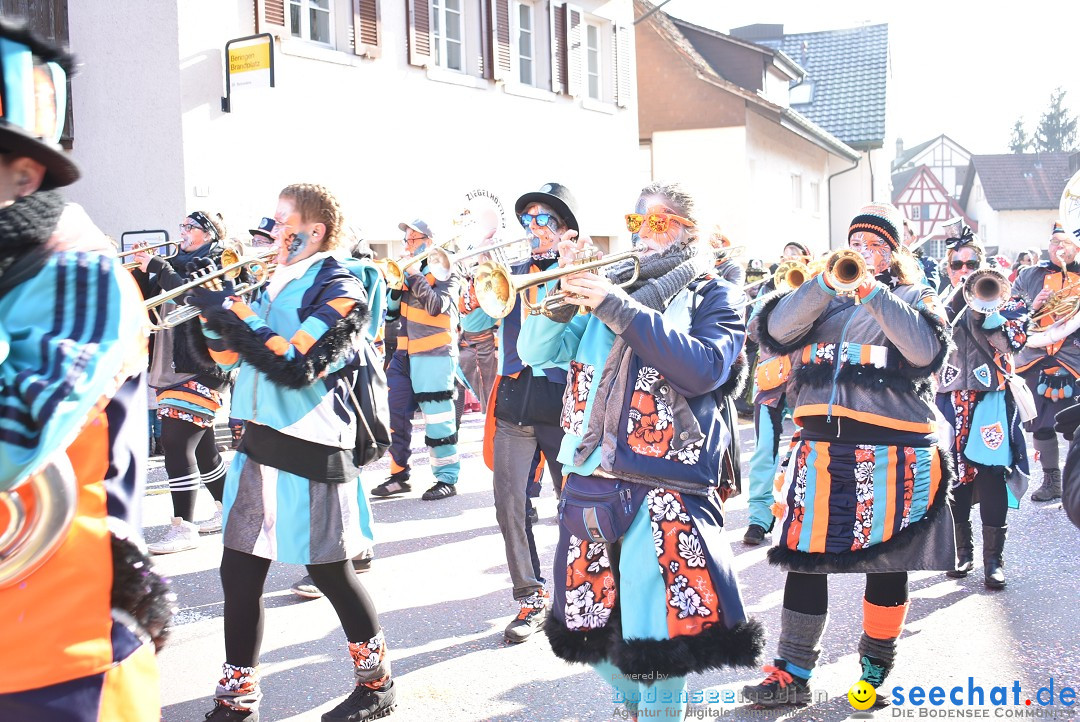 Fasnachtsumzug: Berlingen - Schweiz, 24.02.2018