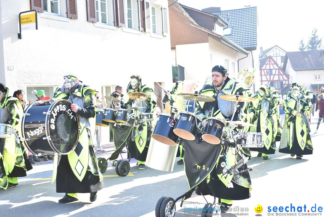 Fasnachtsumzug: Berlingen - Schweiz, 24.02.2018