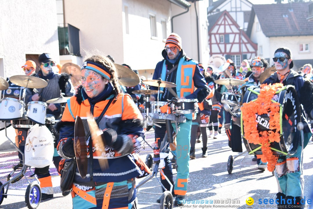 Fasnachtsumzug: Berlingen - Schweiz, 24.02.2018