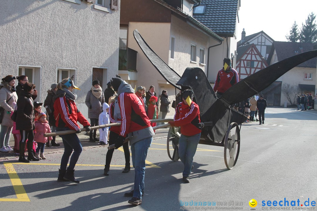 Fasnachtsumzug: Berlingen - Schweiz, 24.02.2018