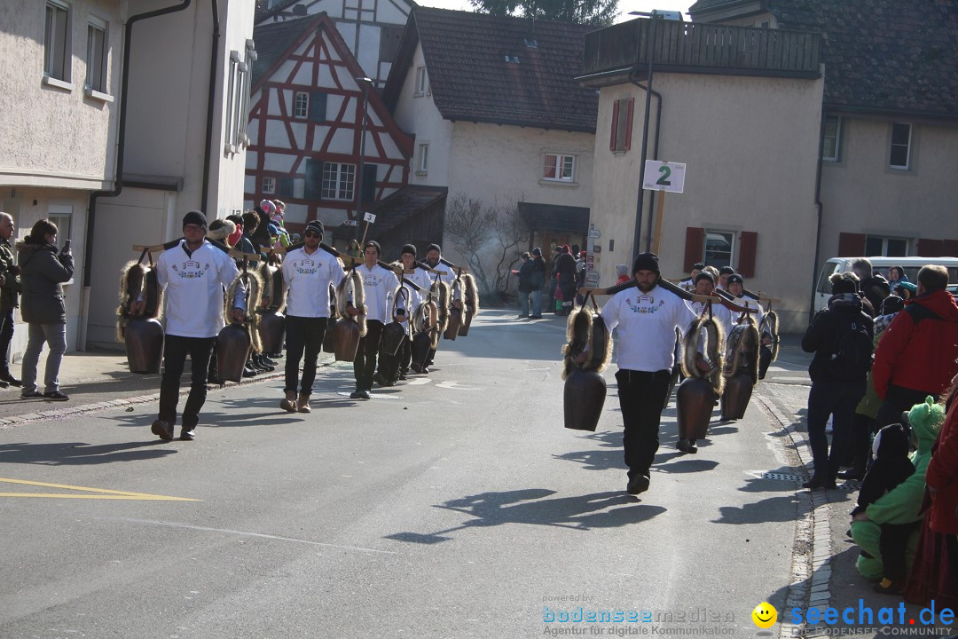 Fasnachtsumzug: Berlingen - Schweiz, 24.02.2018