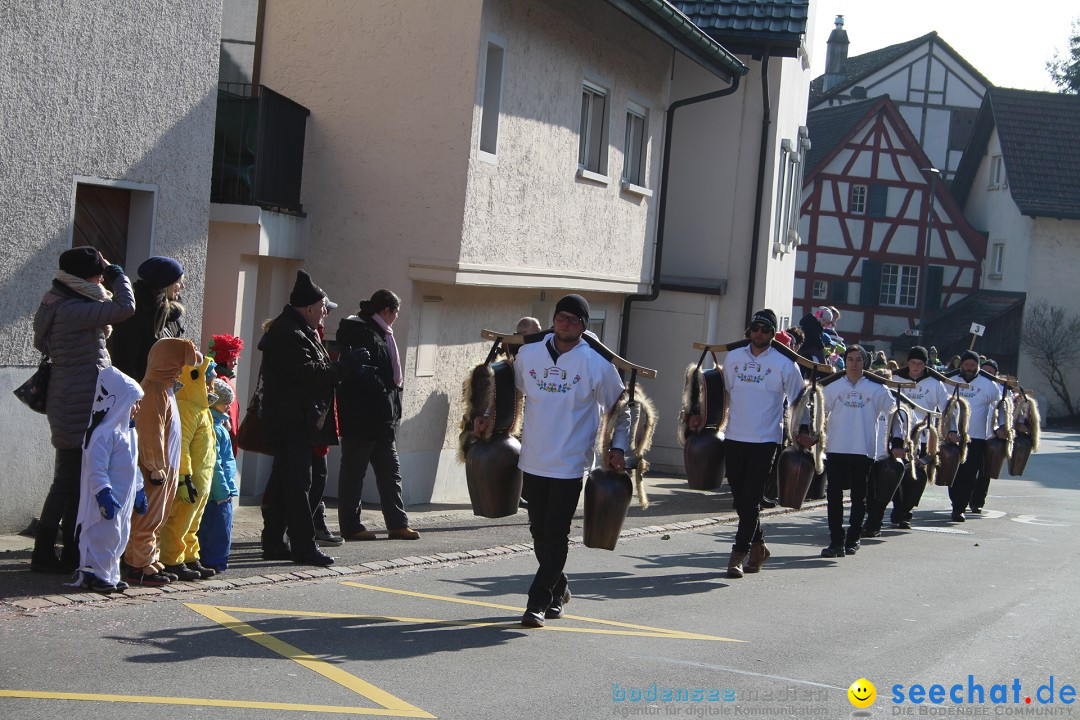 Fasnachtsumzug: Berlingen - Schweiz, 24.02.2018