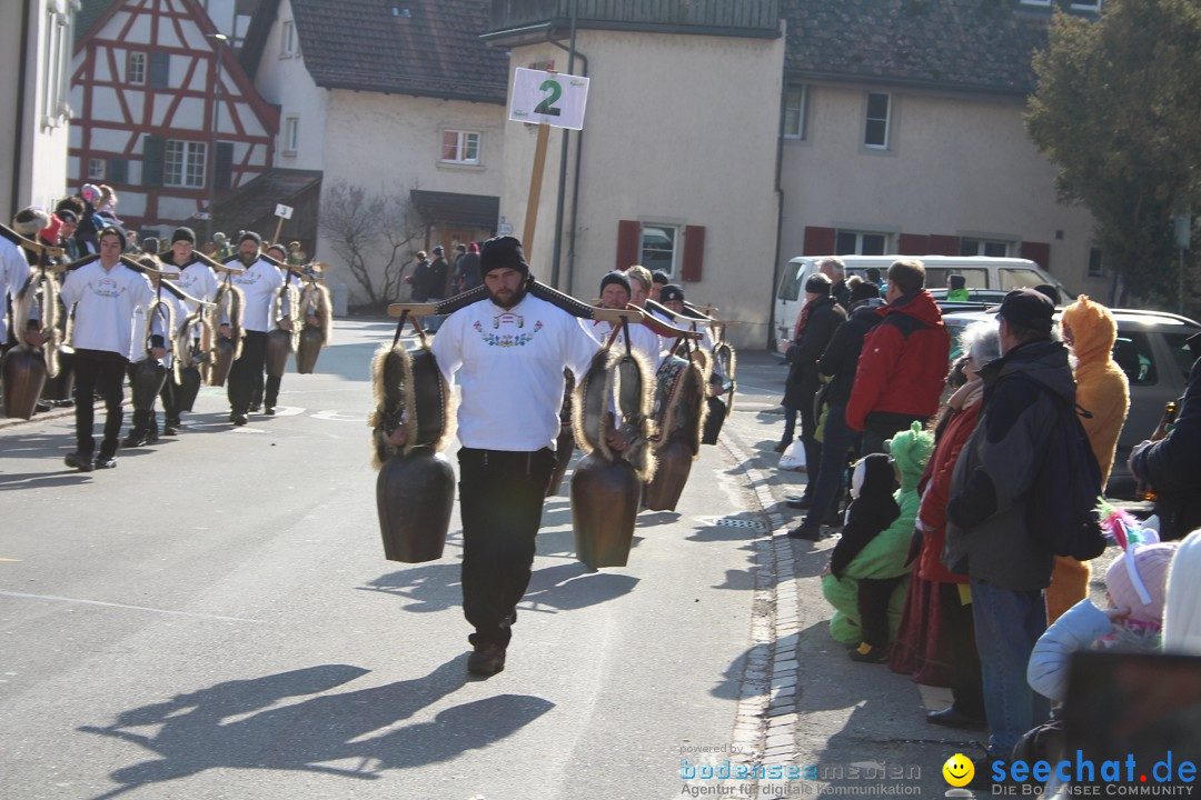 Fasnachtsumzug: Berlingen - Schweiz, 24.02.2018