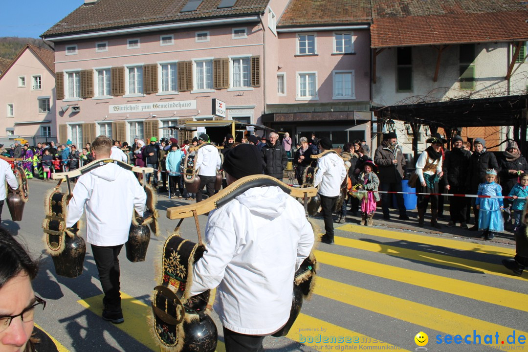 Fasnachtsumzug: Berlingen - Schweiz, 24.02.2018