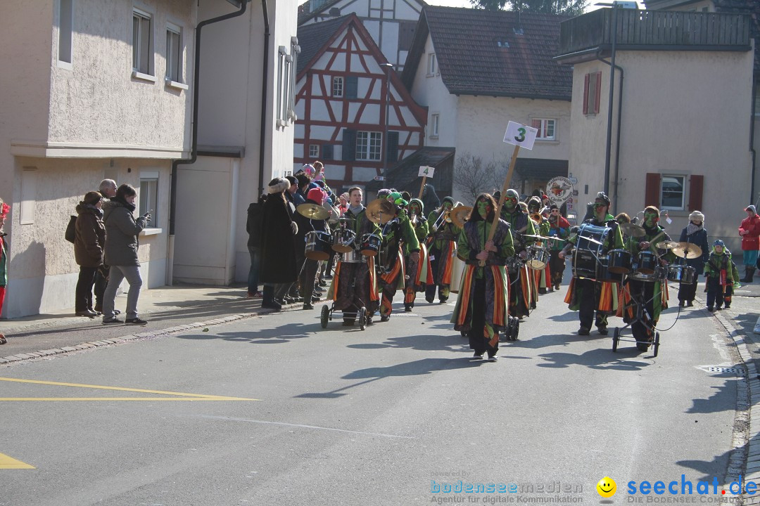 Fasnachtsumzug: Berlingen - Schweiz, 24.02.2018