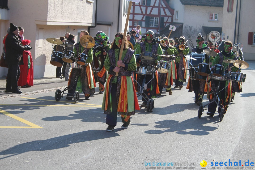 Fasnachtsumzug: Berlingen - Schweiz, 24.02.2018